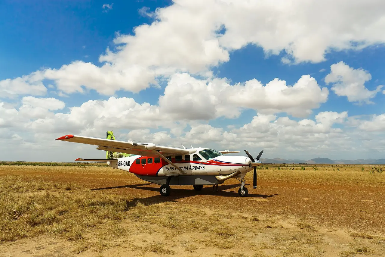 A single-engine light aircraft parked on dry savannah grass under a cloud-filled sky