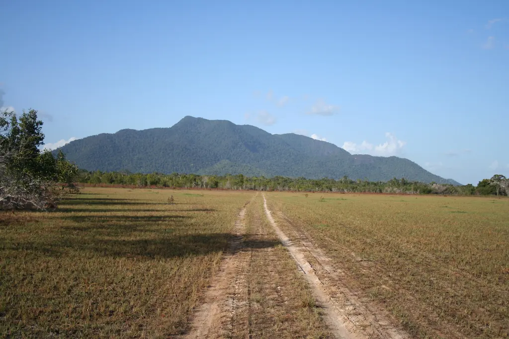 A sandy track crossing open grassland in the Rupununi savannah towards a forested mountain