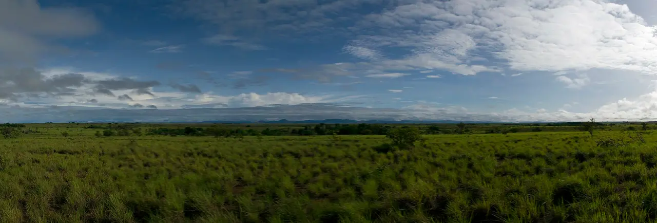 Wide panorama of green savannah at Yupukari with a line of distant mountains